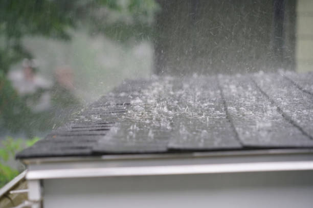 Best Roof Coating and Sealing  in Brices Creek, NC